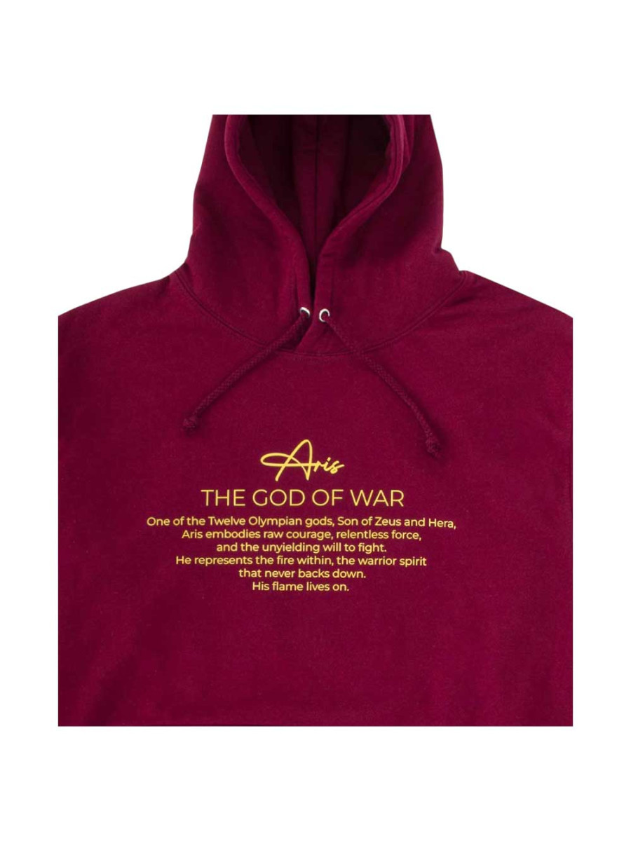 Aris Unisex φούτερ The God of War Hoodie